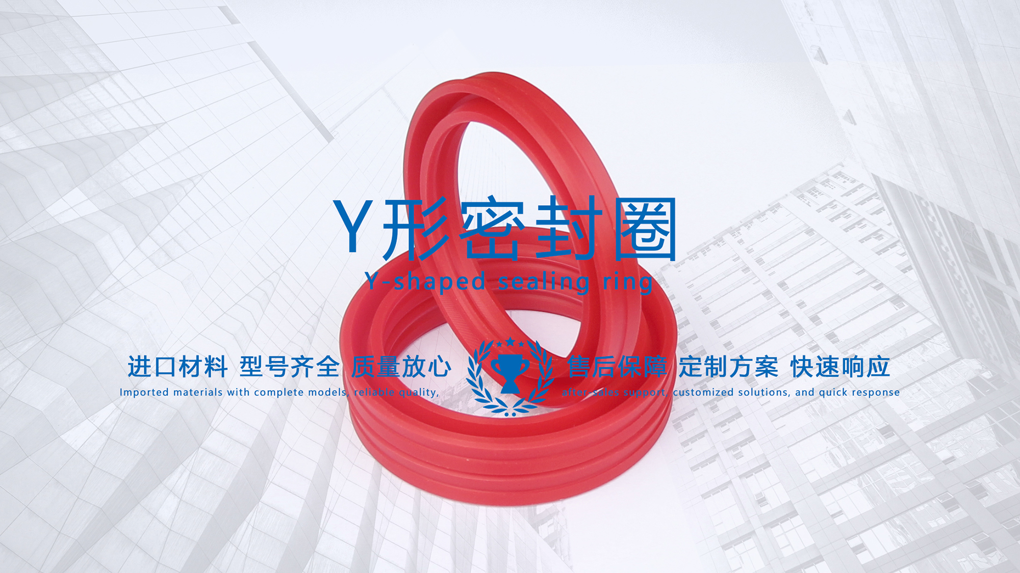 y型密封圈（又Y形密封圈，Y形圈，Y型圖或唇形密封圈，密封件油封膜片） (3)